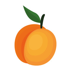 fresh mango fruit icon vector illustration design