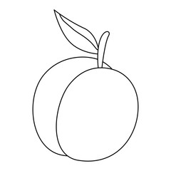 fresh mango fruit icon vector illustration design