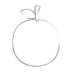 fresh orange fruit icon vector illustration design