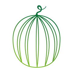 fresh watermelon fruit icon vector illustration design