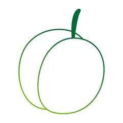 fresh mango fruit icon vector illustration design