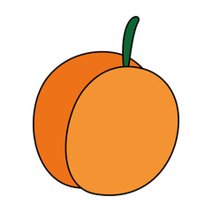 fresh mango fruit icon vector illustration design