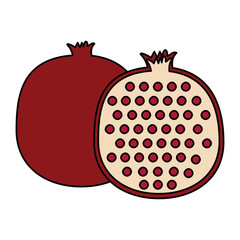 fresh pomegranates fruits icon vector illustration design