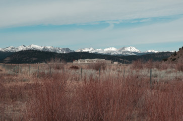 Peaking through the bushes around an alpine lake near June Lake Loop California in Winter