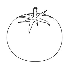 fresh tomatoe vegetarian food vector illustration design