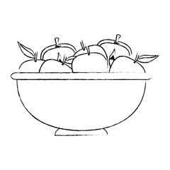 fresh apples fruits in bowl vector illustration design