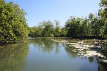 Fototapeta na wymiar James River