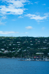 クルーズから見た景色