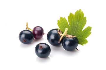 Blackcurrant