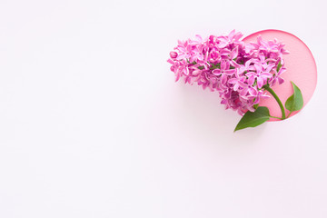 Fresh branch of pink lilac on white background. Soft light color. Greeting card. Mockup for positive ideas. Empty place for inspirational, emotional, sentimental text or quote.