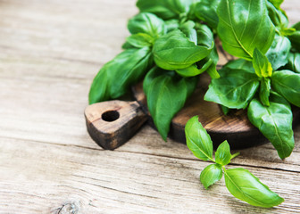 Fresh green basil