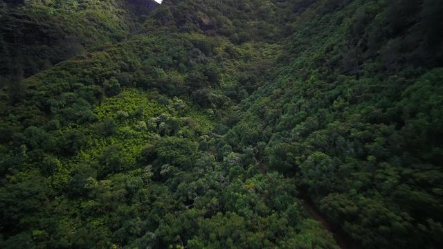 Aerial Hawaii Kauai Kalalau Napali Coast State Park Trail November 2017 Sunny Day 4K Wide Angle Inspire 2 Prores

Aerial video of Kalalau Napali Coast State Park on Kauai in Hawaii on a sunny day.