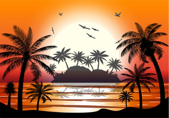 Fototapeta na wymiar Silhouette of palm tree on beach.