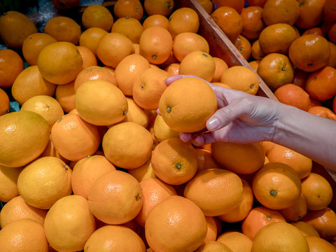 A female hand takes a sunkist orange in the fruit and vegetable aisle in the supermarket