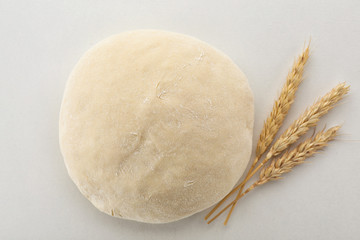 Raw wheat dough and spikes on white background, top view