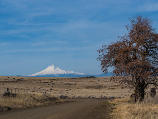 Central Oregon, Mt Hood in the Distance 
