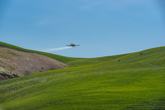 Spraying the wheat fields by air in early spring 