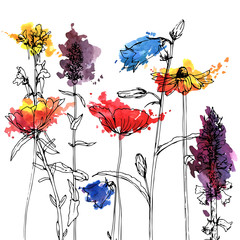 Vector drawing herbs and flowers