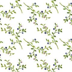 Seamless pattern with drawing plant of blueberries