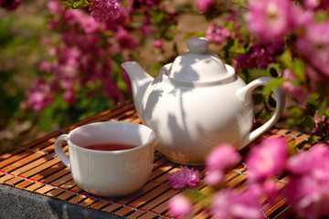 A teapot and a cup of tea under the cherry twigs. Tea in the spring against the background of flowering branches of Japanese cherries. A tea set surrounded by sakura flowers.