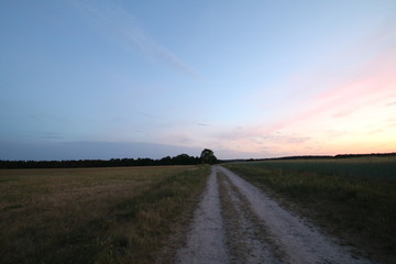 Wunderschöner Weg am Sonnenuntergang neben den Feldern