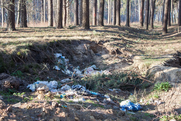 Garbage in a forest