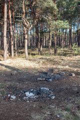 Empty camp stop with fireplace in the forest