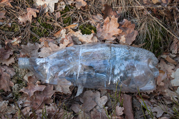 Naklejka premium Plastic bottle littering forest areas