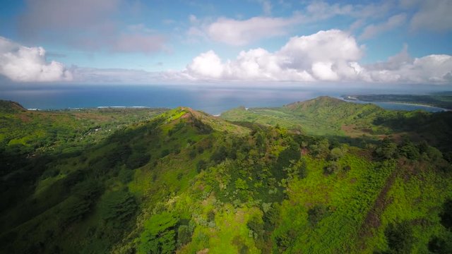 Aerial Hawaii Kauai Kalihiwai Jungle November 2017 Sunny Day 4K Wide Angle Inspire 2 Prores

Aerial video of Kalihiwai Jungle on Kauai in Hawaii on a sunny day.