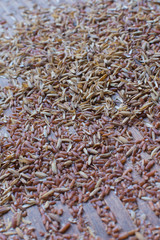 brown rice and husk