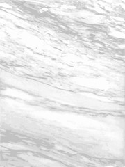 White marble texture Vector background.