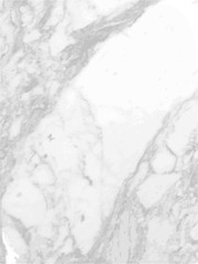 Obraz premium White marble texture Vector background.
