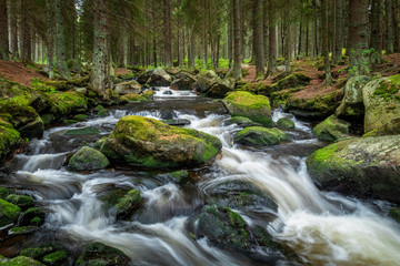 Beautiful waterfall in green Spruce forest with big rocks around, Hamersky potok in Sumava, Czech Republic