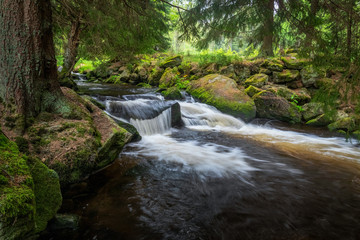 Obraz premium Beautiful waterfall in green Spruce forest, Hamersky potok in Sumava, Czech Republic