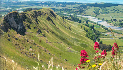 Te Mata Peak an iconic tourist attraction place in Hawke's Bay region of North Island, New Zealand.