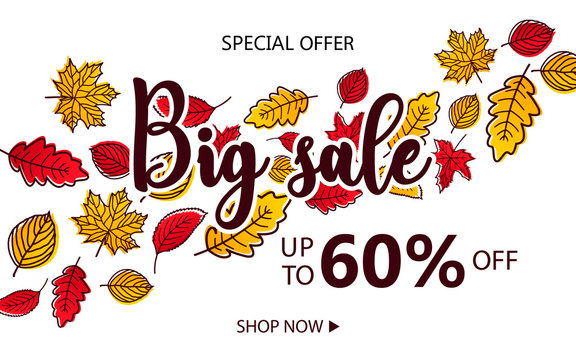Autumn Sale Background with Falling Autumn Leaves.