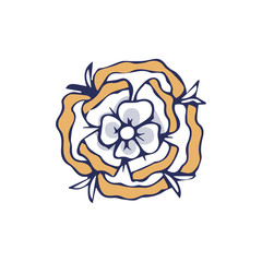 flower similar to a sunflower. small flower color yellow on white background