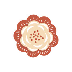 flower similar to a sunflower. small flower color red on white background