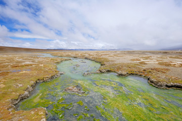 Beautiful landscape of the hot springs Polloquere, Salar De Surire salt lake, Isluga Volcano National Park, Chile, South America