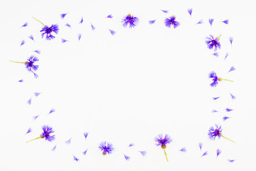 Blue cornflowers frame on white background