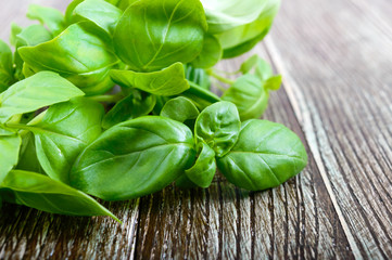 Green fresh leaves of organic basil on a wooden background for a healthy diet. Herbs and spices.