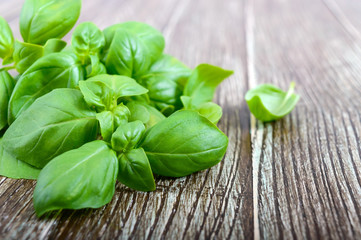 Green fresh leaves of organic basil on a wooden background for a healthy diet. Herbs and spices.