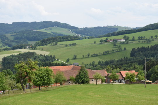 Oberdambach, Garsten, Steyr, Laussa, Berg, Alpenvorland, Wiese, Fr&uuml;hling, Sommer, Landwirtschaft, Bauer, Bauernhof, Vierkanter, Vierkanthof, Wiese, Gras, Feld, Berg