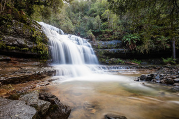 Liffey Falls lower cascade in Tasmania, Australia