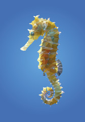 Low Poly Seepferdchen © Erika Weber