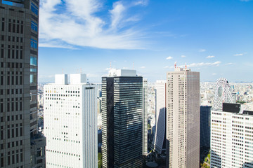 Obraz premium Cityscape of Shinjuku Metropolitan Government Lookout,Tokyo
