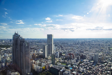 Fototapeta premium Cityscape of Shinjuku Metropolitan Government Lookout,Tokyo