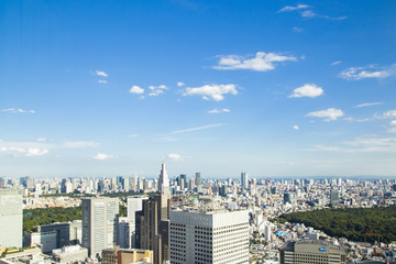 Fototapeta na wymiar Cityscape of Shinjuku Metropolitan Government Lookout,Tokyo