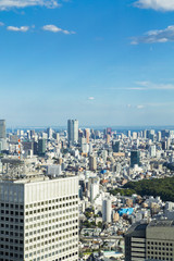Cityscape of Shinjuku Metropolitan Government Lookout,Tokyo