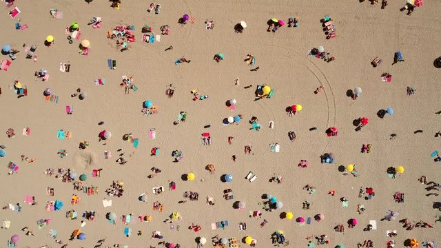THE NETHERLANDS - 25 AUGUST 2016: Aerial photography of people on the beach in Hoek Van Holland, Netherlands.